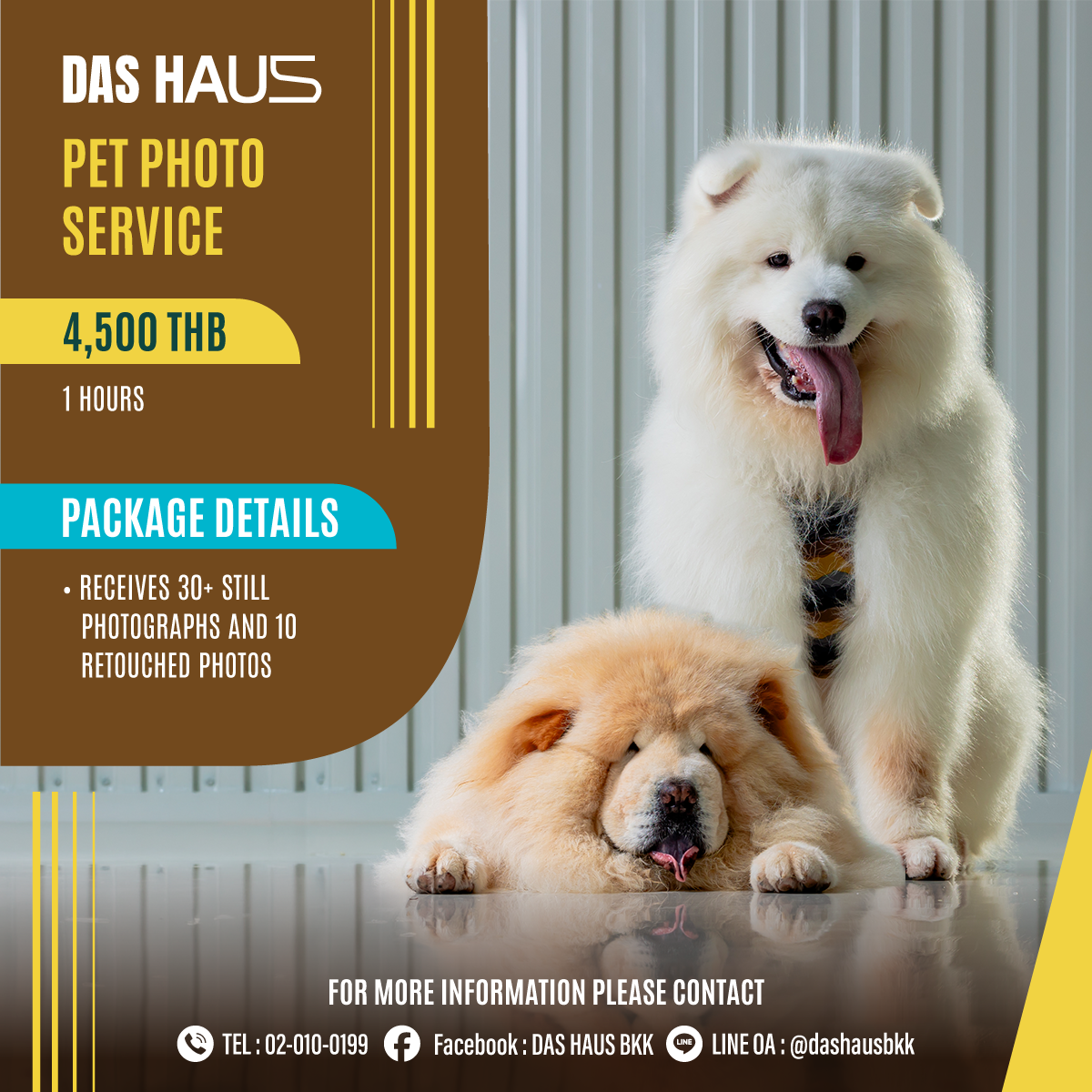 PET Photo Service: 2026